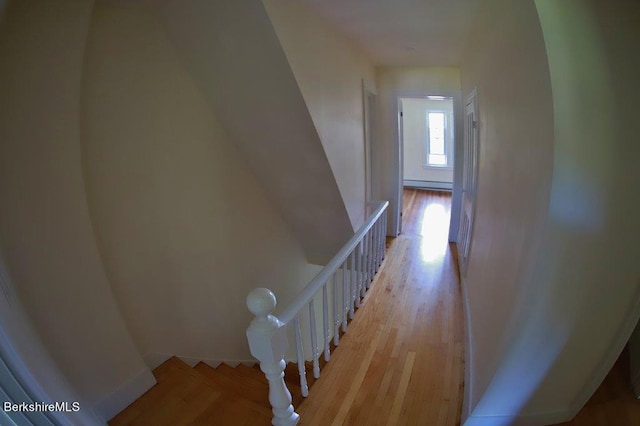 stairway with hardwood / wood-style flooring and a baseboard radiator