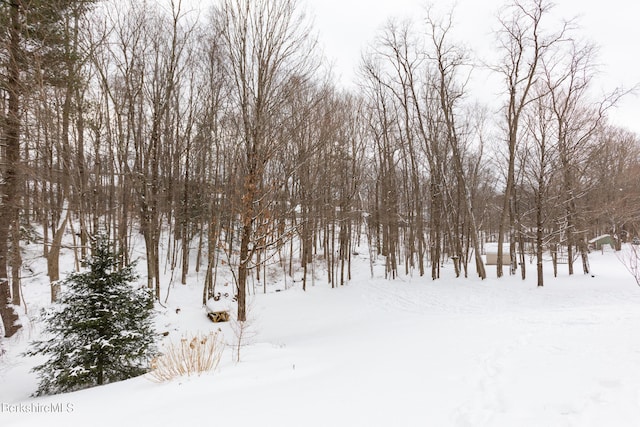 view of snowy view