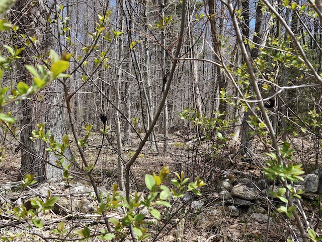 0 Sandisfield Rd, Sandisfield, MA 01255 - photo 6