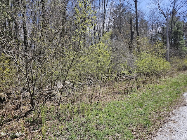 0 Sandisfield Rd, Sandisfield, MA 01255 - photo 2
