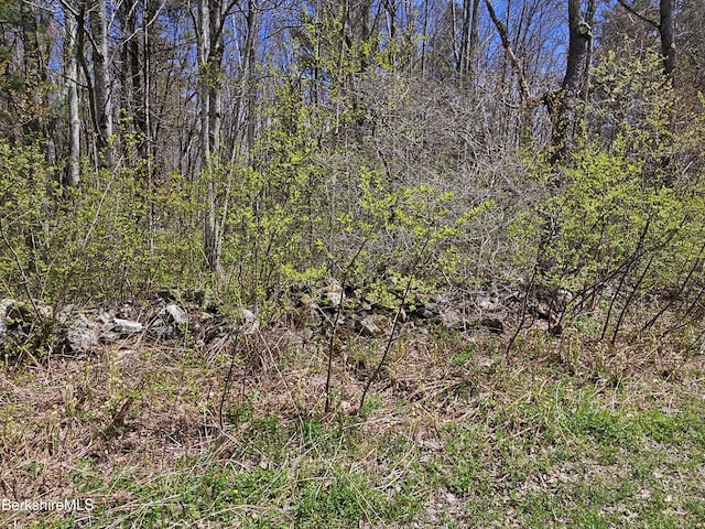 0 Sandisfield Rd, Sandisfield, MA 01255 - photo 3