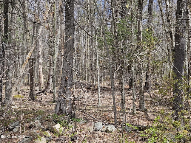 0 Sandisfield Rd, Sandisfield, MA 01255 - photo 5