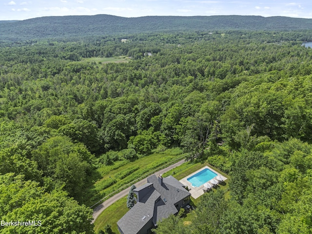 44 Prospect Hill Rd, Stockbridge, MA 01262 - photo 51