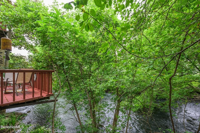 4 Main St, West Stockbridge, MA 01266 - photo 47