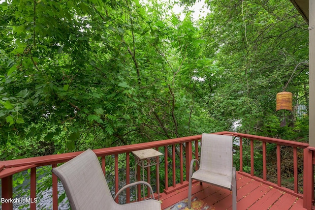 4 Main St, West Stockbridge, MA 01266 - photo 45