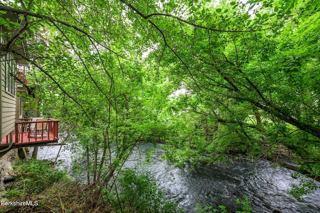 4 Main St, West Stockbridge, MA 01266 - photo 48
