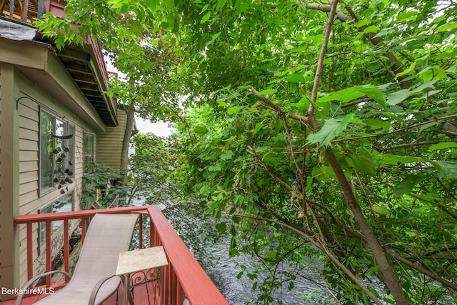 4 Main St, West Stockbridge, MA 01266 - photo 46