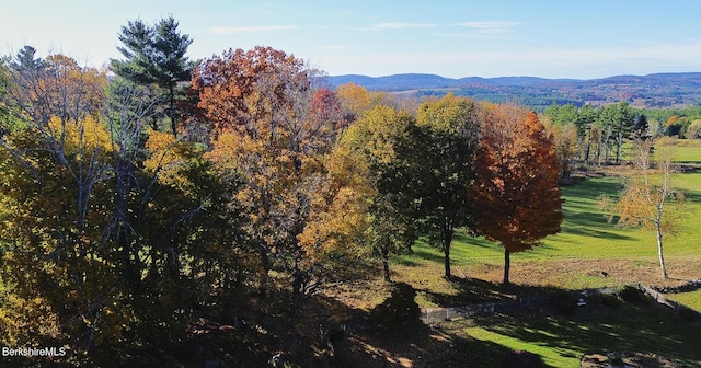 property view of mountains