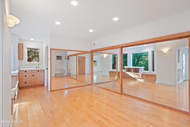 interior space featuring a wealth of natural light, light hardwood / wood-style flooring, and sink