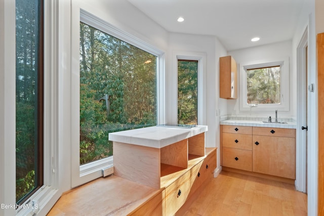 interior space featuring hardwood / wood-style flooring and sink