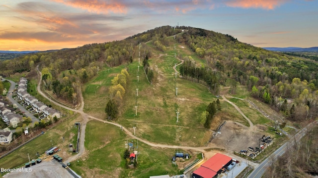 14 Alpine Trl # 14, Pittsfield, MA 01201 - birds eye view of property with a mountain view and a view of trees