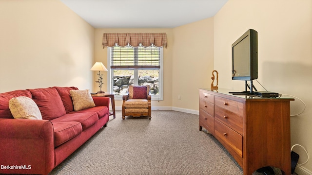 14 Alpine Trl # 14, Pittsfield, MA 01201 - living area featuring carpet flooring and baseboards