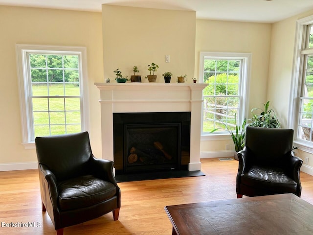 121 E Dugway Rd, Lenox, MA 01240 - living area with light wood-style floors and plenty of natural light