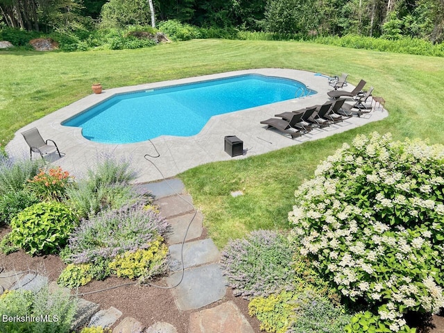 121 E Dugway Rd, Lenox, MA 01240 - outdoor pool featuring a lawn and a patio area