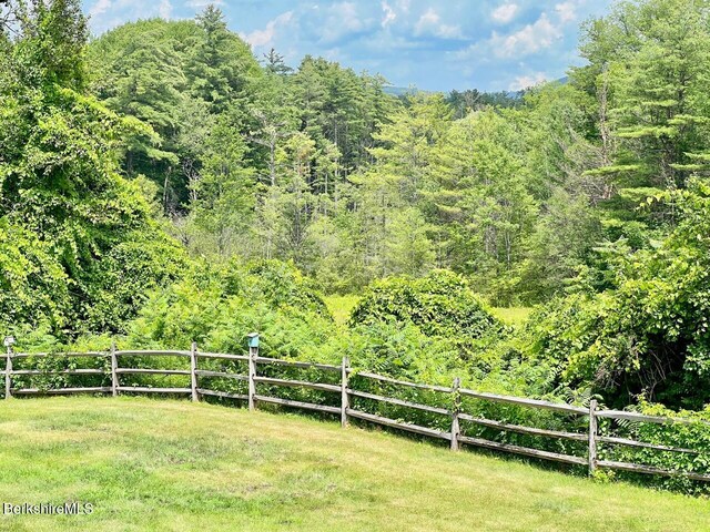121 E Dugway Rd, Lenox, MA 01240 - view of yard featuring a forest view