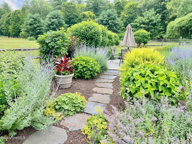 121 E Dugway Rd, Lenox, MA 01240 - view of yard