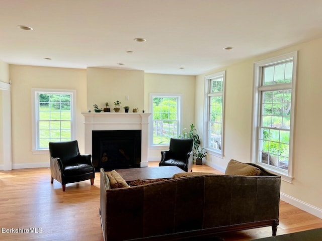 121 E Dugway Rd, Lenox, MA 01240 - living room featuring a fireplace, light wood-style flooring, and recessed lighting