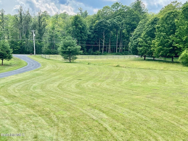 121 E Dugway Rd, Lenox, MA 01240 - view of yard