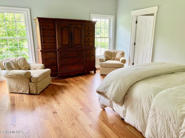 121 E Dugway Rd, Lenox, MA 01240 - bedroom with light wood-type flooring and multiple windows