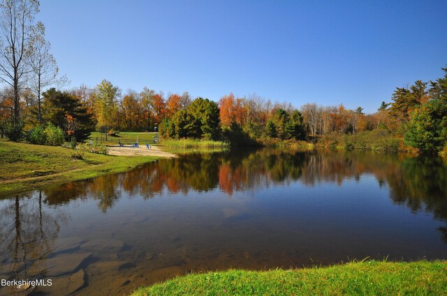 view of water feature featuring a view of trees