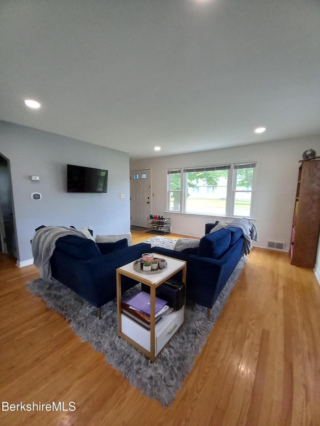 17 Crane Ave, Pittsfield, MA 01201 - living room with light wood-style flooring and recessed lighting