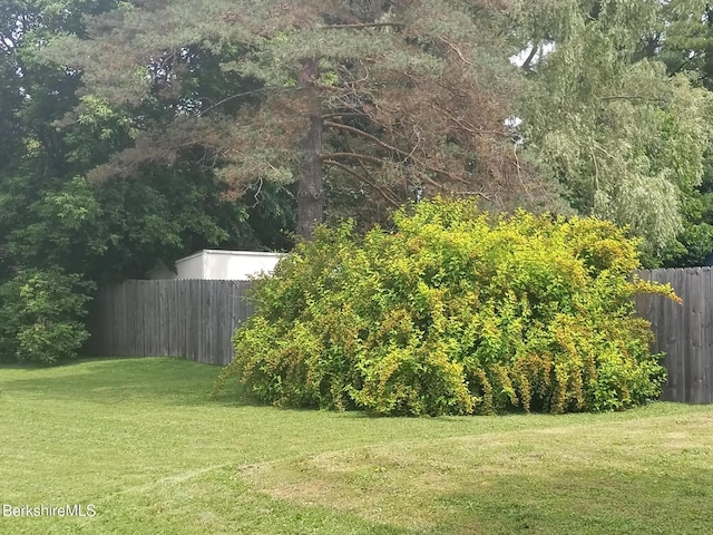17 Crane Ave, Pittsfield, MA 01201 - view of yard