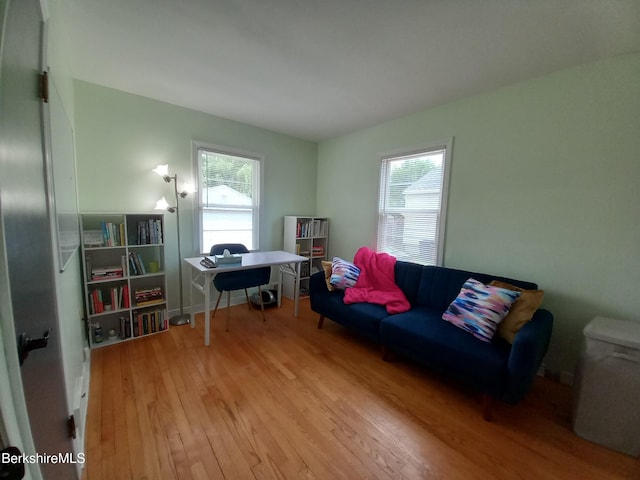17 Crane Ave, Pittsfield, MA 01201 - office area featuring hardwood / wood-style flooring and plenty of natural light