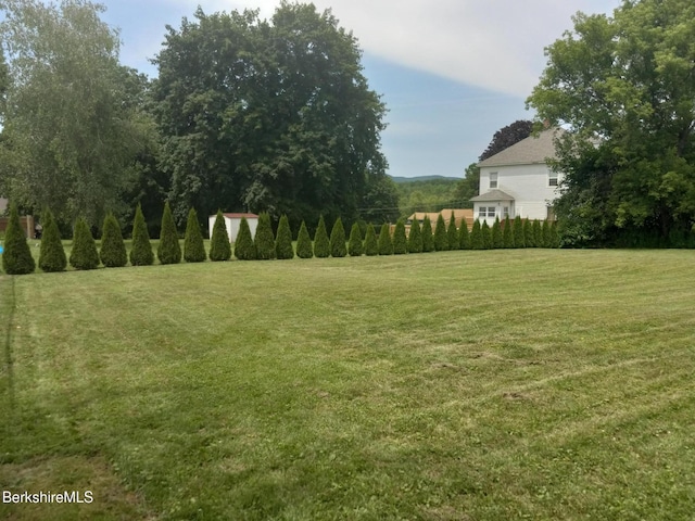 17 Crane Ave, Pittsfield, MA 01201 - view of green lawn