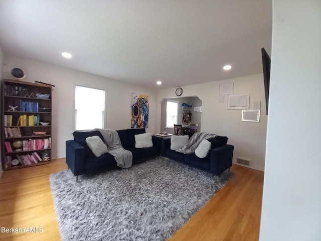 17 Crane Ave, Pittsfield, MA 01201 - living room featuring arched walkways, light wood-style flooring, and recessed lighting