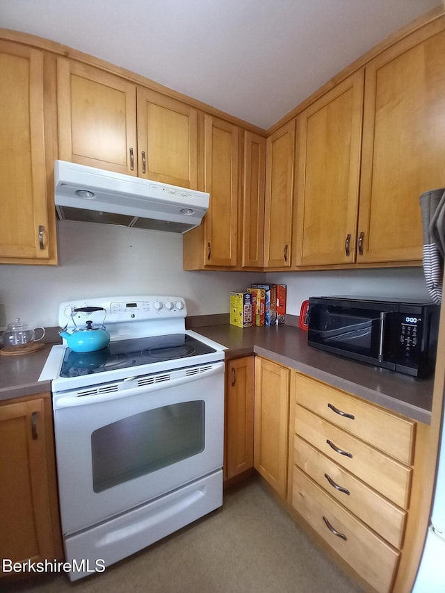 17 Crane Ave, Pittsfield, MA 01201 - kitchen with white electric range, under cabinet range hood, black microwave, and dark countertops