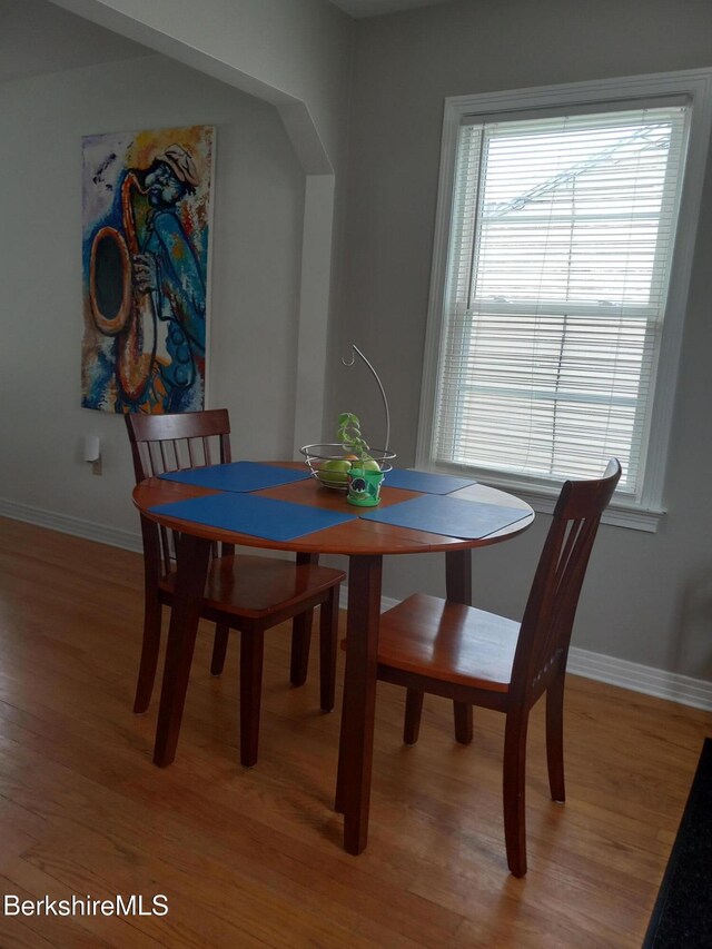 17 Crane Ave, Pittsfield, MA 01201 - dining room with light wood-style flooring and healthy amount of natural light