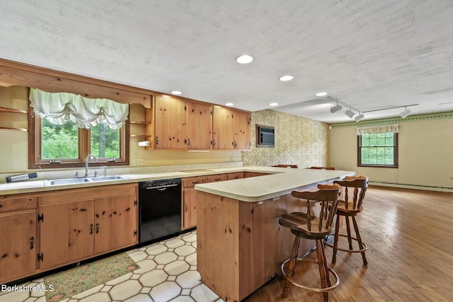 1310 Lenox Rd, Richmond, MA 01254 - kitchen with black dishwasher, light countertops, a breakfast bar, recessed lighting, and baseboard heating