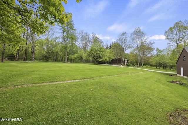 64 Blotz Rd, Washington, MA 01223 - view of grassy yard featuring view of wooded area