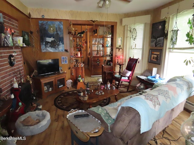 living room featuring ceiling fan