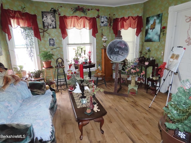 living room with hardwood / wood-style floors