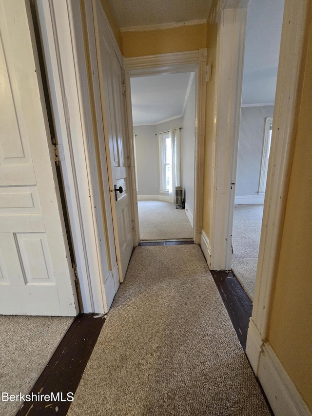 hallway featuring dark colored carpet, ornamental molding, and radiator