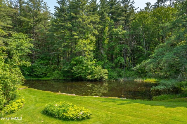 353 State Rd, Great Barrington, MA 01230 - photo 39