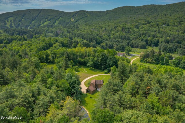 353 State Rd, Great Barrington, MA 01230 - photo 37