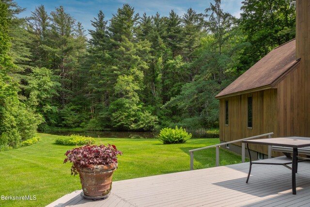 353 State Rd, Great Barrington, MA 01230 - photo 38