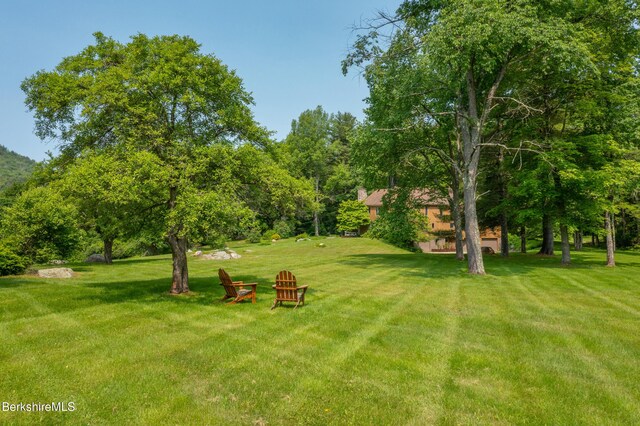 353 State Rd, Great Barrington, MA 01230 - photo 43