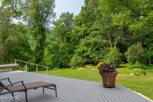 353 State Rd, Great Barrington, MA 01230 - photo 45