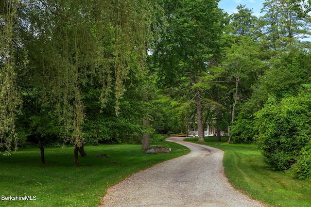 105 Christian Hill Rd, Great Barrington, MA 01230 - photo 2