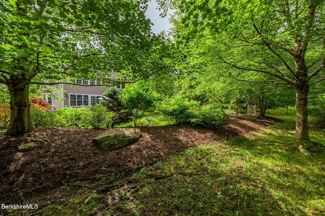 105 Christian Hill Rd, Great Barrington, MA 01230 - photo 47