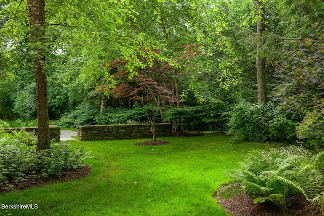 105 Christian Hill Rd, Great Barrington, MA 01230 - photo 45