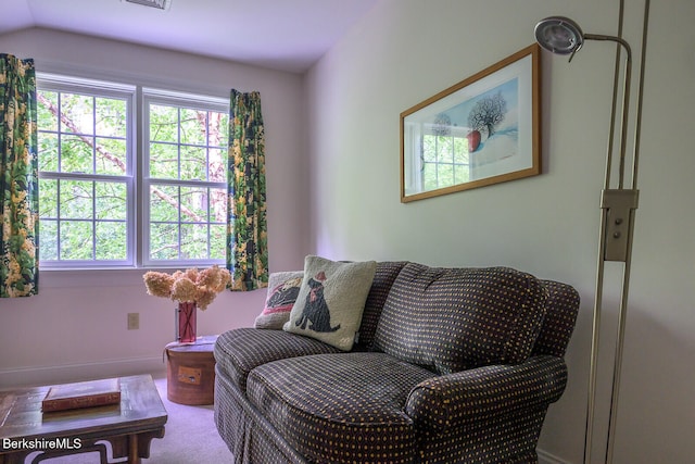 105 Christian Hill Rd, Great Barrington, MA 01230 - photo 42