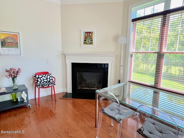 2 Evergreen Trl Unit 2, Lenox, MA 01240 - living room with wood finished floors, a glass covered fireplace, and baseboards