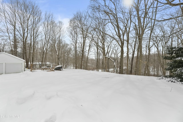 yard covered in snow with an outbuilding and a detached garage