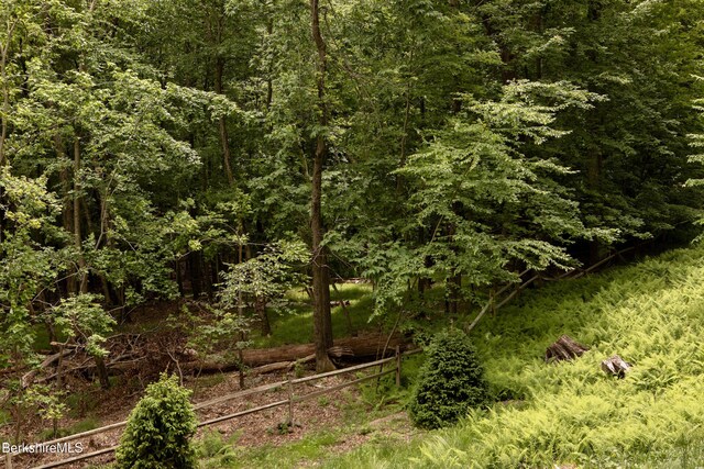 49 Sky Top Rd, Copake, NY 12516 - photo 38