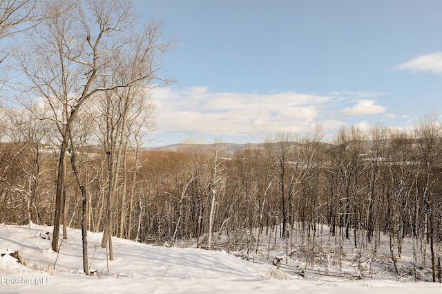 49 Sky Top Rd, Copake, NY 12516 - photo 37