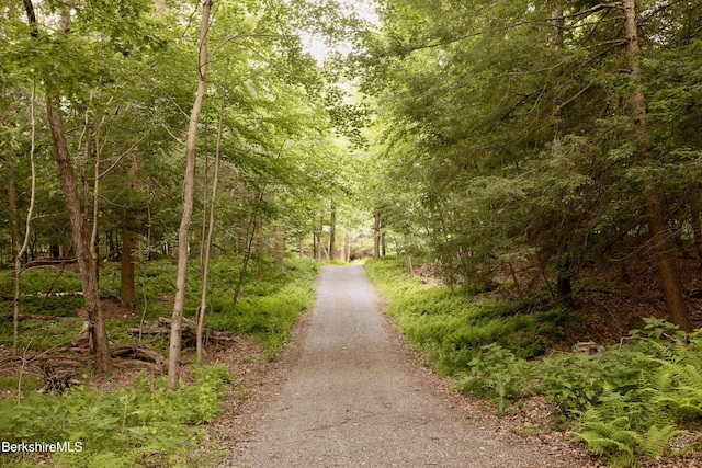 49 Sky Top Rd, Copake, NY 12516 - photo 2